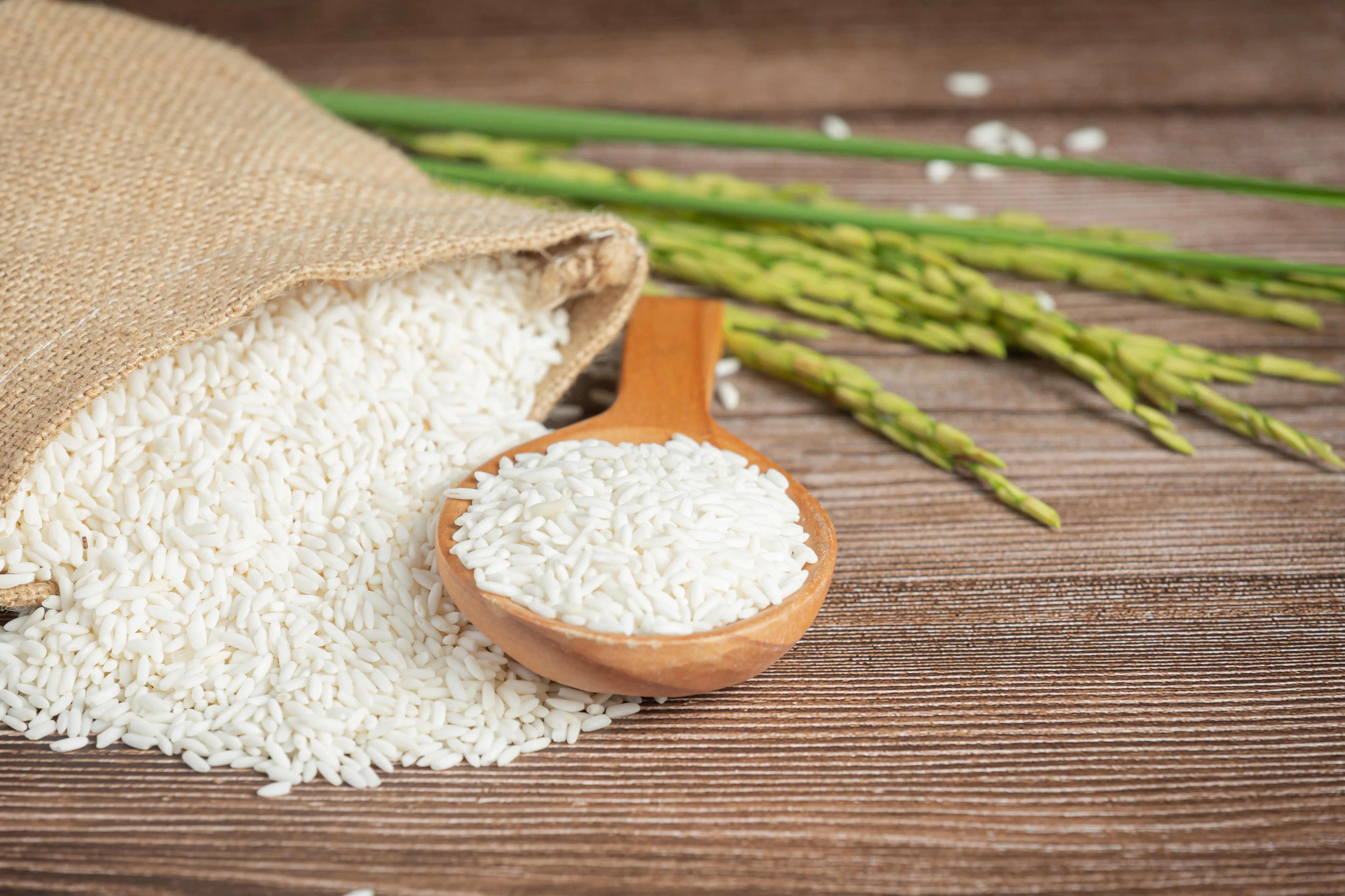 Rice
